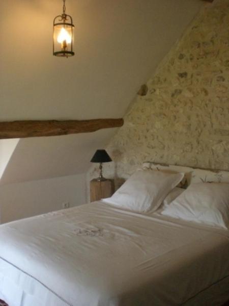 Bed and Breakfast La Touche Menetou-sur-Nahon Pokoj fotografie