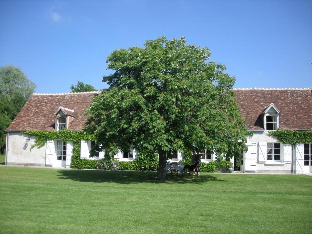 Bed and Breakfast La Touche Menetou-sur-Nahon Exteriér fotografie